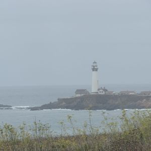 Meet your Posher, Alisha